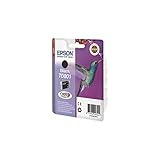 Epson T0801 Black Hummingbird Genuine Ink, Claria Photo HD Ink Cartridge