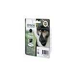 Epson T0891 Stylus Ink Cartridge, Black, Genuine