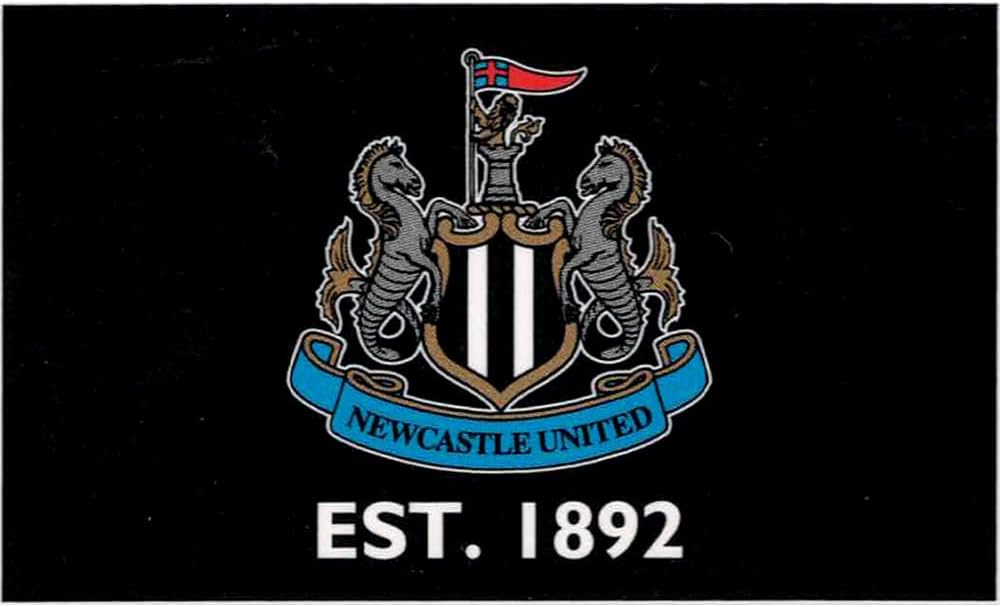 Newcastle Flag 5ft x 3ft