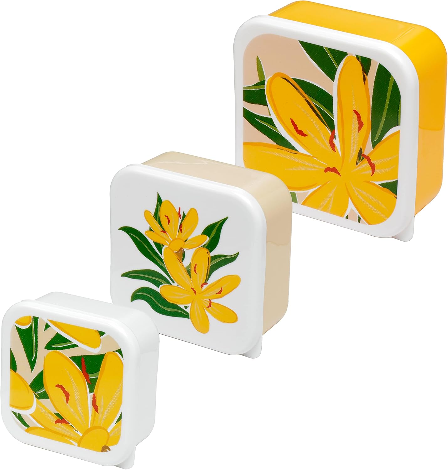Florens Hesperantha Set of 3 Lunch Box Snack Pots M/L/XL