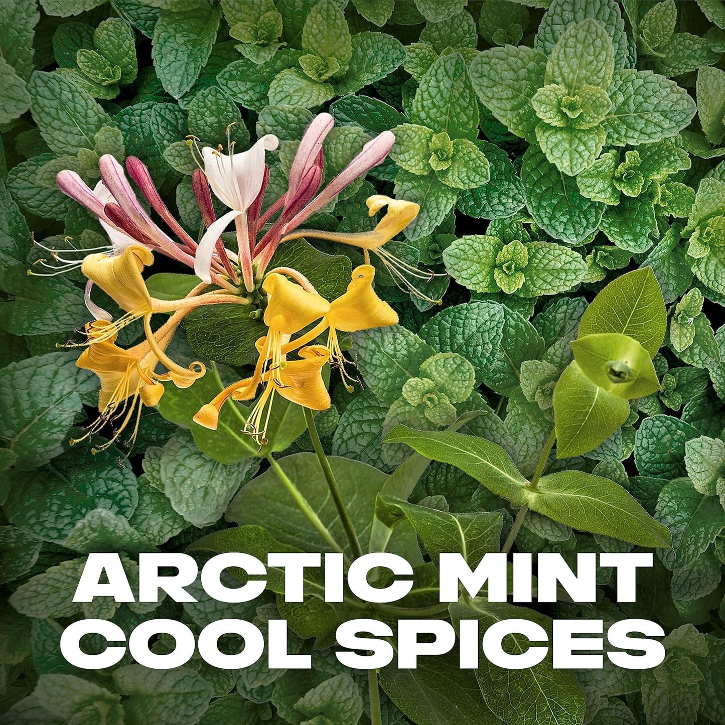 LYNX Recharge Duo Deodorant Gift Set Body Wash & Body Spray