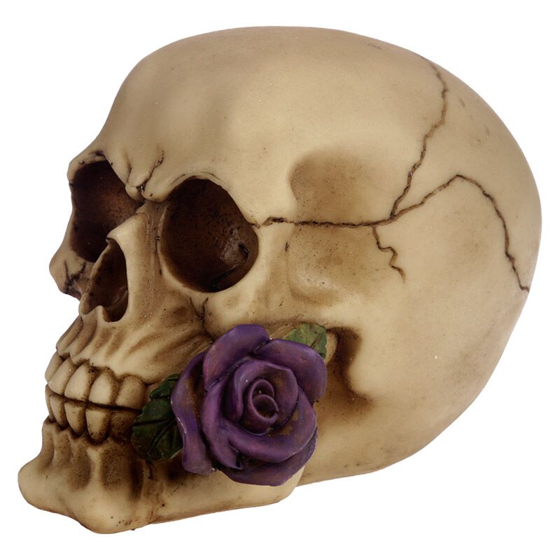 Skull with Purple Roses
