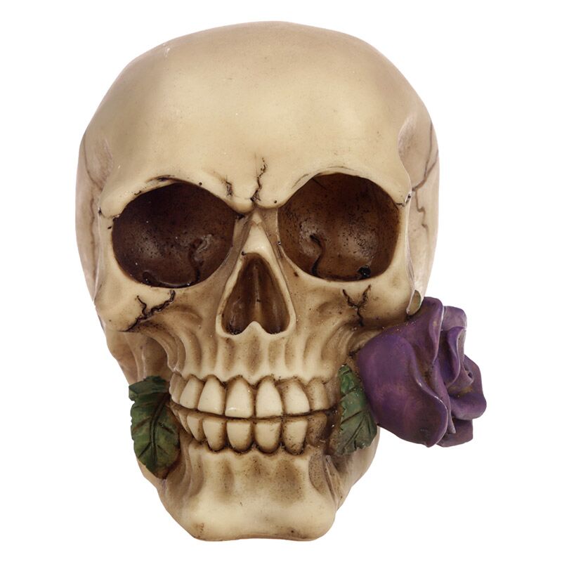 Skull with Purple Roses