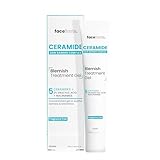 Face Facts Ceramide Blemish Treatment Gel 50ml