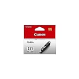 Canon 9265B001 X-Large Inkjet Cartridge - Grey