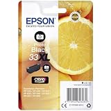 Epson 33XL Photo Black Oranges High Yield, Genuine, Claria Premium Ink