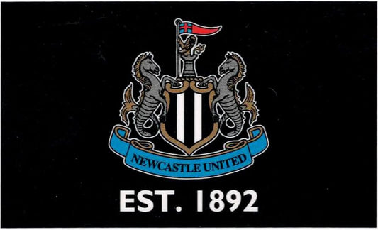 Newcastle Flag 5ft x 3ft