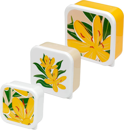 Florens Hesperantha Set of 3 Lunch Box Snack Pots M/L/XL