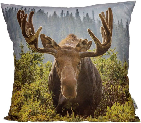Moose Photograph Cushion