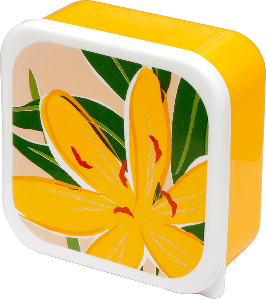 Florens Hesperantha Set of 3 Lunch Box Snack Pots M/L/XL