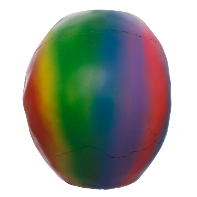 Rainbow Skull Decoration
