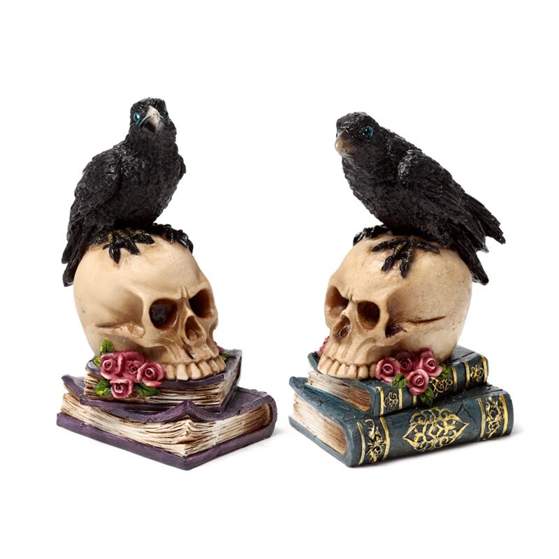 Crow on Skull & Book