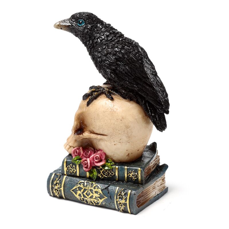 Crow on Skull & Book