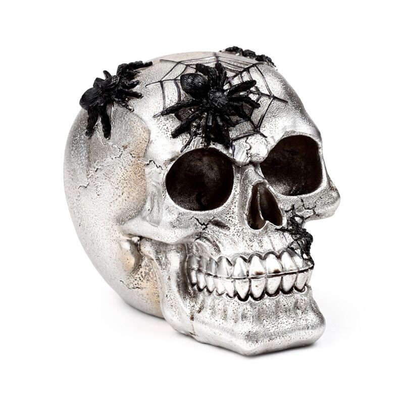 Skull Black Spiders & Webs