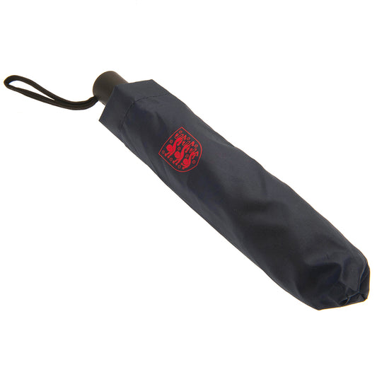 England FA Umbrella