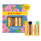 Burt's Bees Beeswax Bounty Lip Balm Gift Set, Vanilla Bean & Cucumber Mint